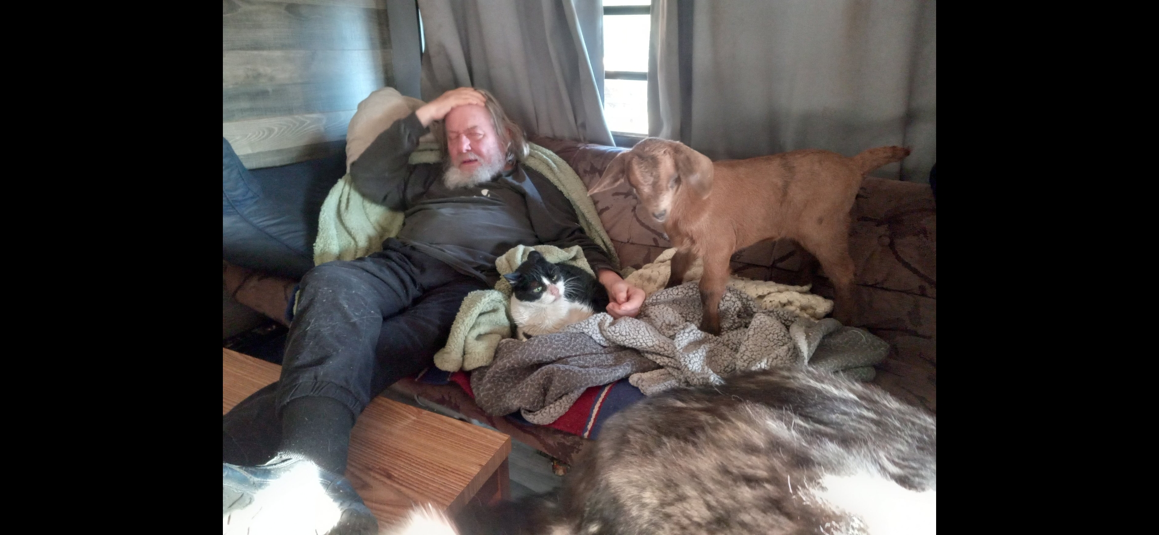 Steve on the couch with animals