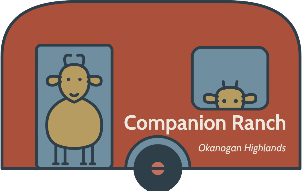Companion Ranch Illustrated Sticker