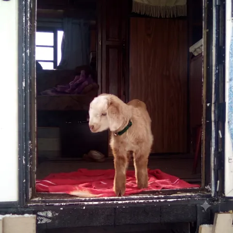 OD as a days-old kid standing in a trailer doorway